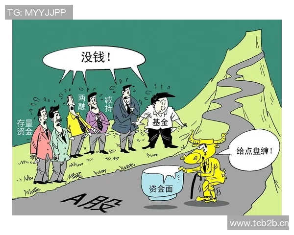 深圳羽毛球队力量之争引发热议背后的真相与思考